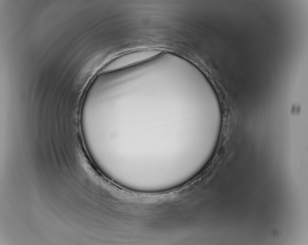 X0000112720002200909171115