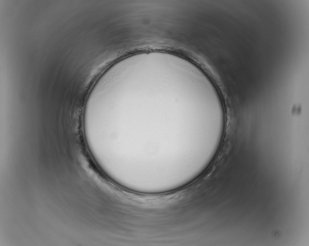 X0000112720010200909171115