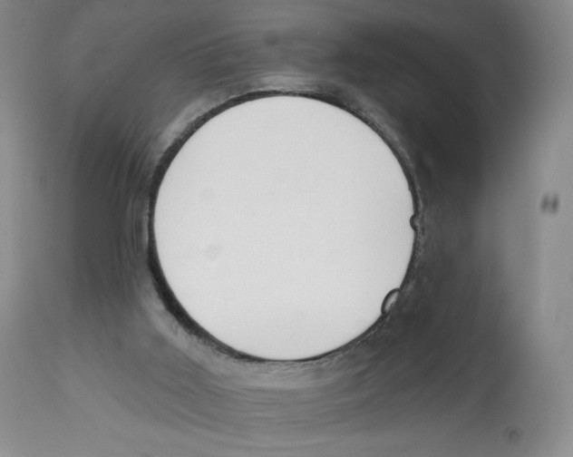 X0000112720011200909171115