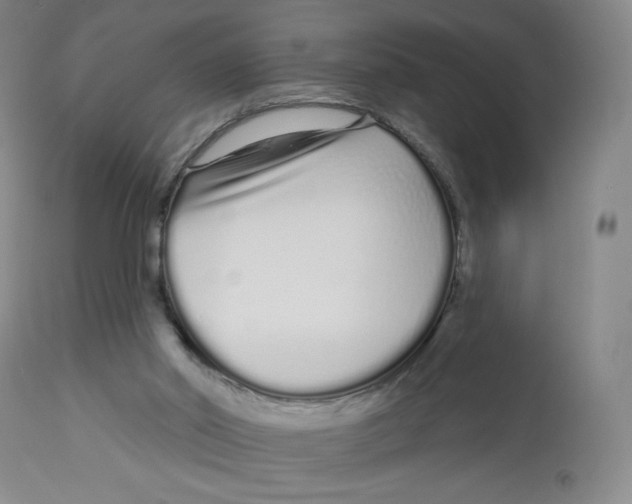 X0000112720014200909171115