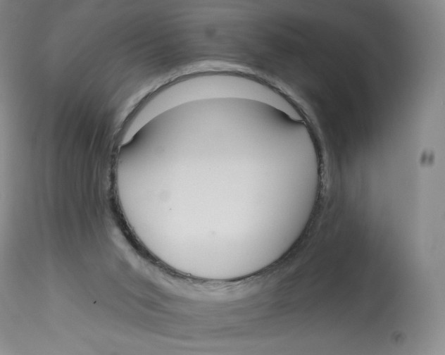 X0000112720015200909171115