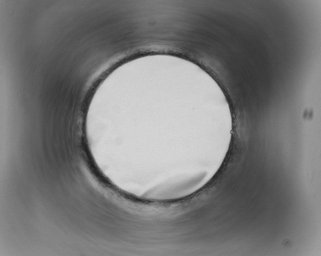 X0000112720016200909171115