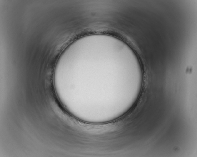 X0000112720018200909171115