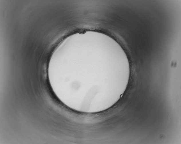 X0000112720020200909171115