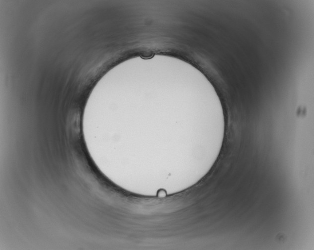 X0000112720021200909171115