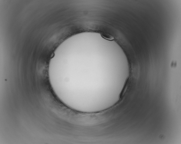 X0000112720029200909171114