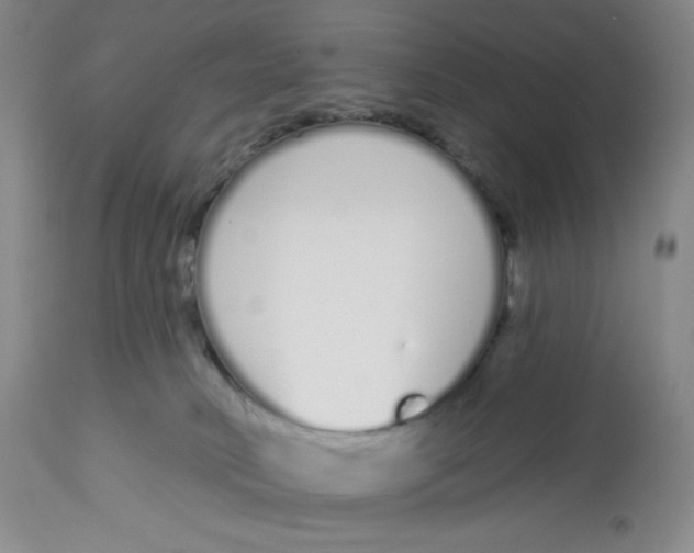 X0000112720034200909171114