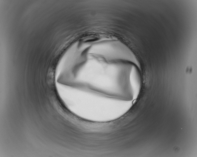 X0000112720036200909171114