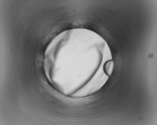 X0000112720038200909171114