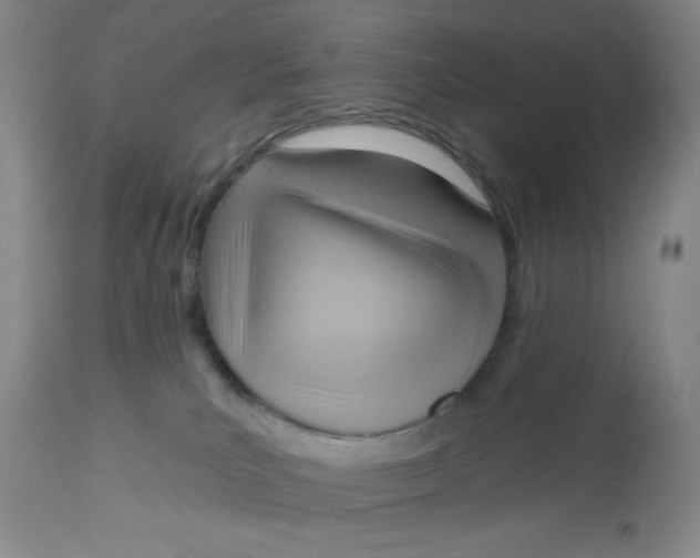 X0000112720039200909171114