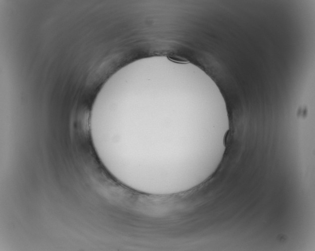 X0000112720041200909171114