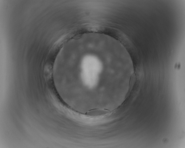 X0000112720043200909171114