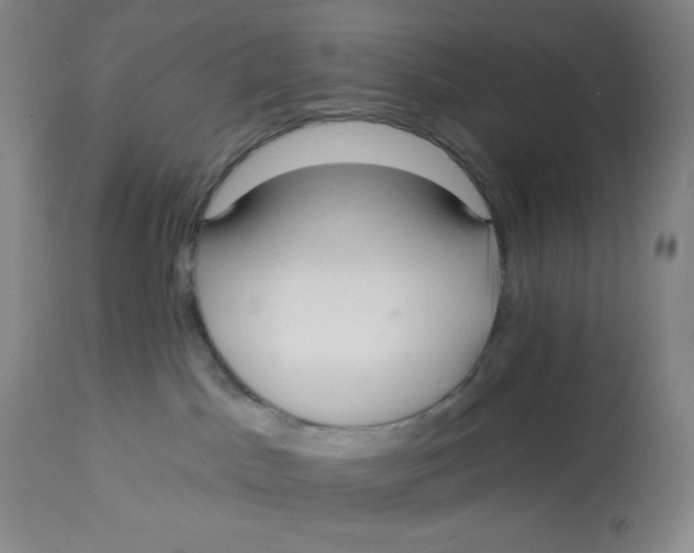 X0000112720045200909171114