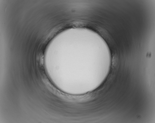 X0000112720046200909171114