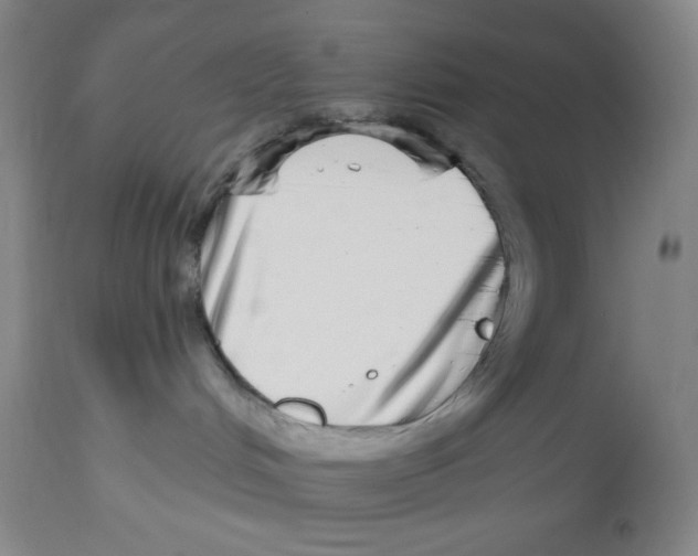 X0000112720048200909171114