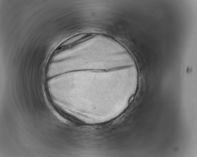 X0000112720049200909171113