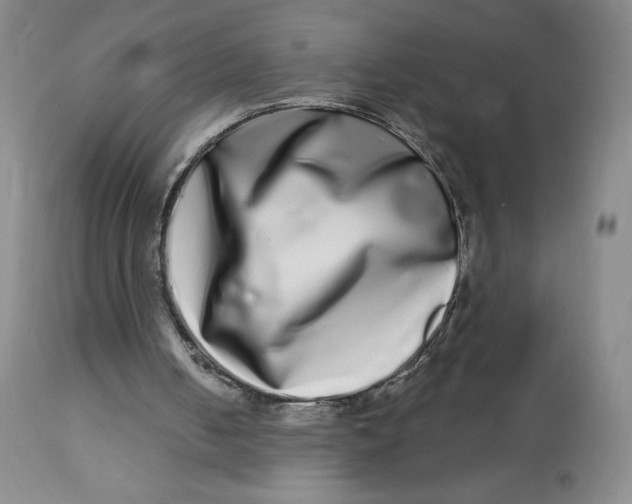 X0000112720050200909171113