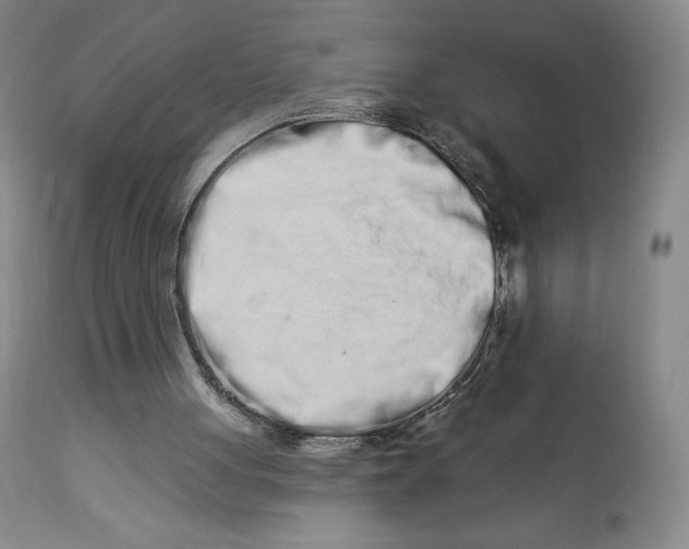 X0000112720051200909171114