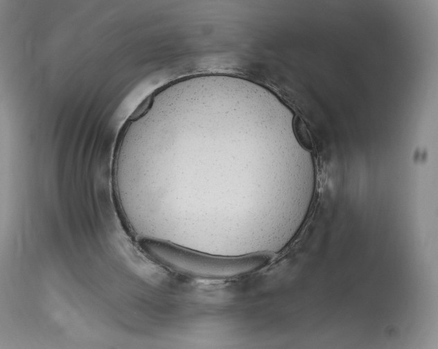 X0000112720052200909171114