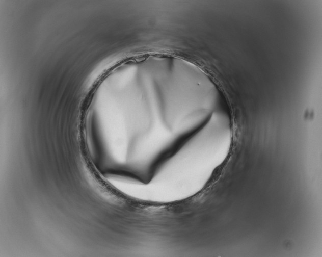 X0000112720054200909171114