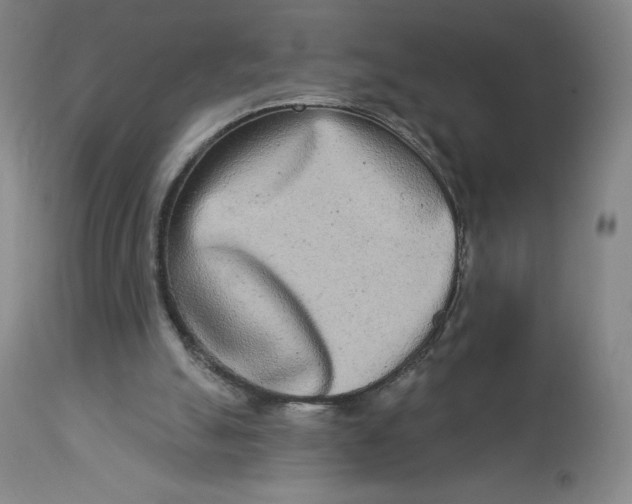 X0000112720055200909171114