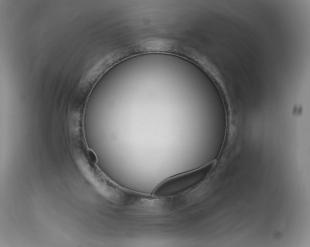 X0000112720057200909171114