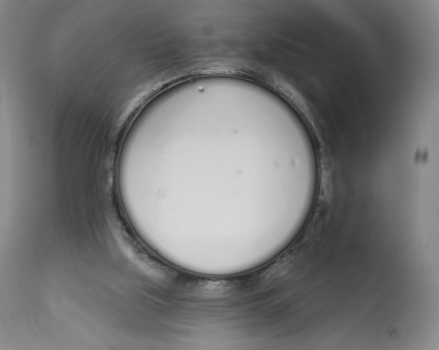 X0000112720059200909171114