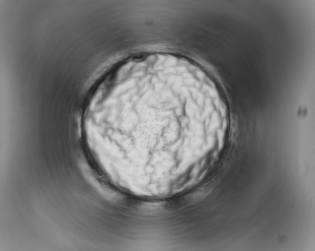 X0000112720061200909171114