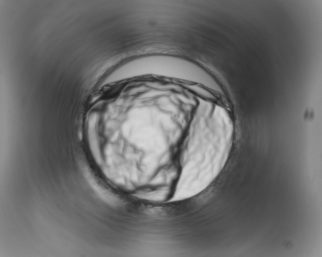 X0000112720062200909171114