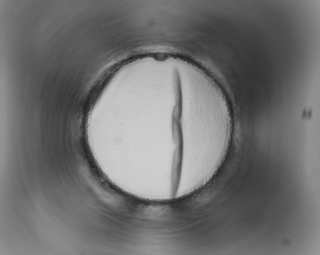 X0000112720063200909171114