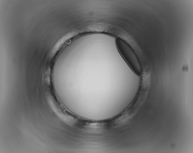 X0000112720064200909171114