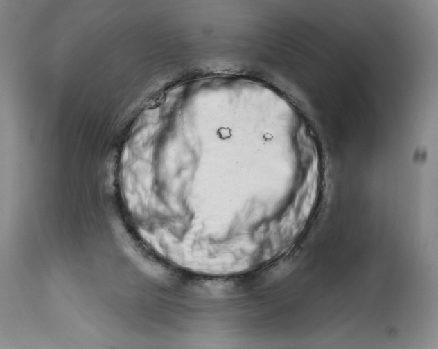 X0000112720065200909171114