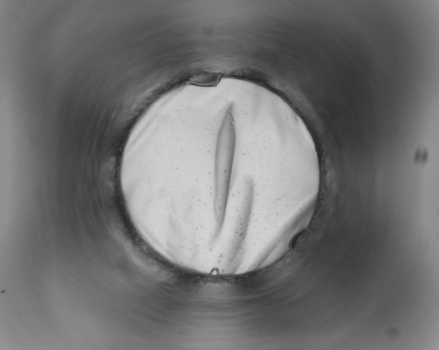 X0000112720066200909171114