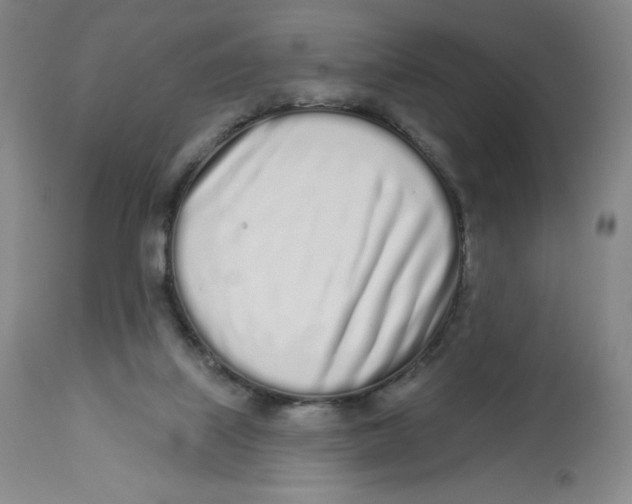 X0000112720067200909171114