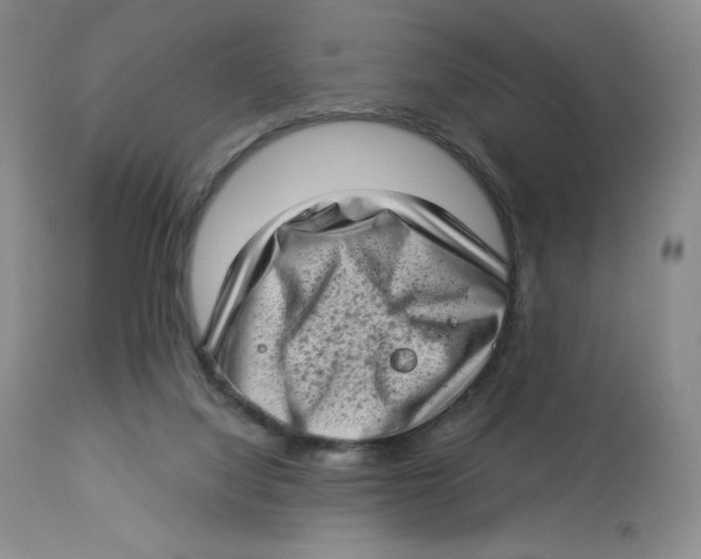 X0000112720068200909171114