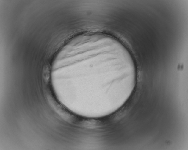 X0000112720069200909171114