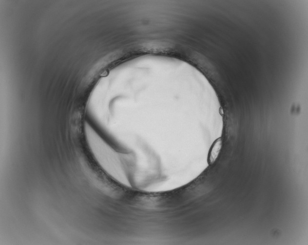 X0000112720071200909171114