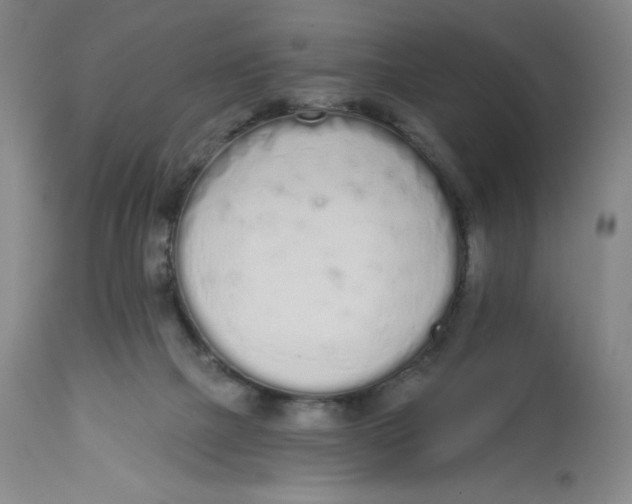 X0000112720073200909171114