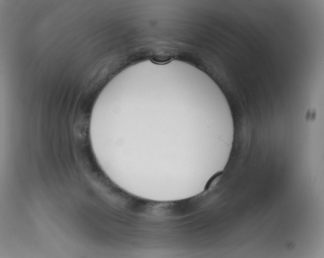 X0000112720078200909171114