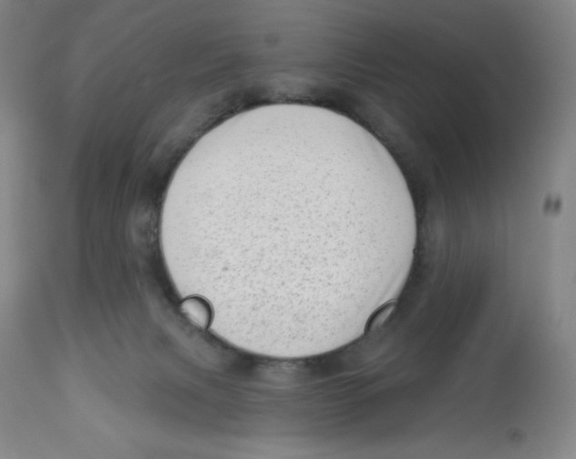 X0000112720079200909171114