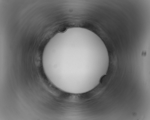 X0000112720080200909171114