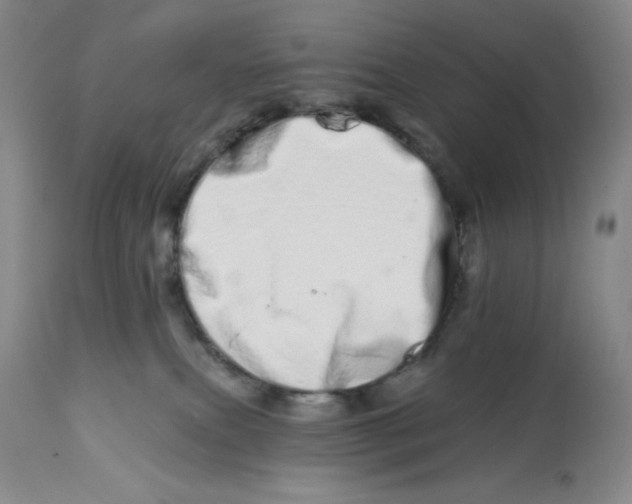 X0000112720087200909171114