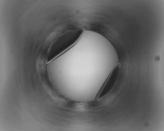 X0000112720088200909171114