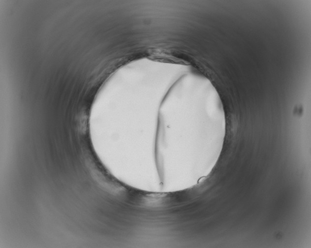 X0000112720090200909171114