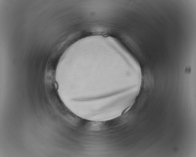 X0000112720093200909171114