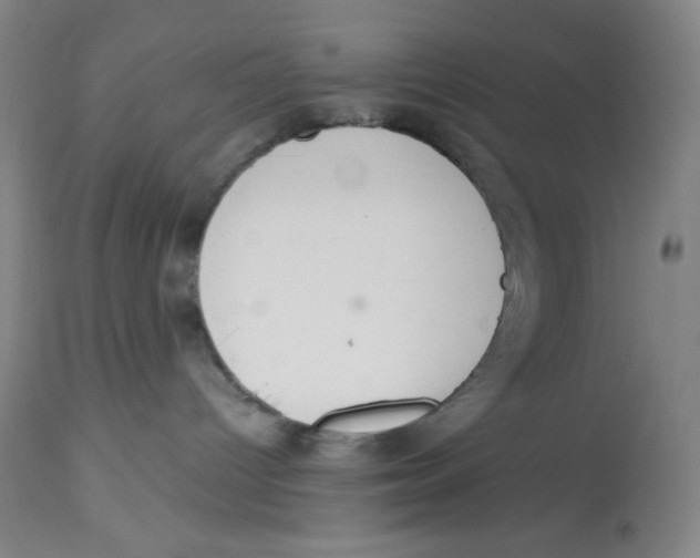 X0000112720096200909171114