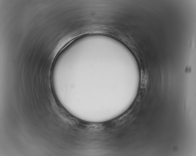 X0000112720099200909171113