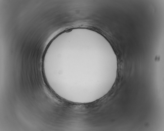 X0000112720100200909171113