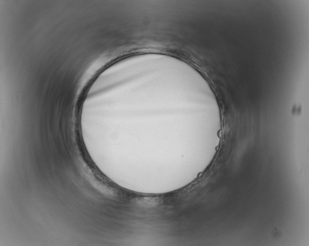 X0000112720102200909171113