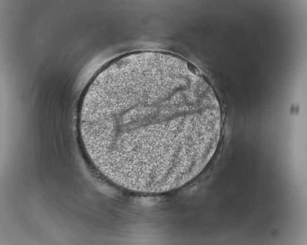 X0000112720103200909171113